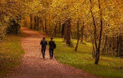 Jak zadbać o swoje zdrowie jesienią?